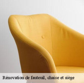 Rénovation de fauteuil, chaise et siège 68 Haut-Rhin  Déco Sièges