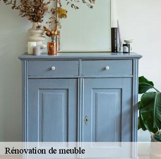 Rénovation de meuble 68 Haut-Rhin Déco Sièges