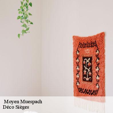   moyen-muespach-68640 Déco Sièges