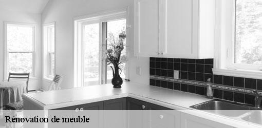 Rénovation de meuble zimmerbach-68230 Déco Sièges